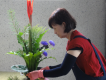 標題